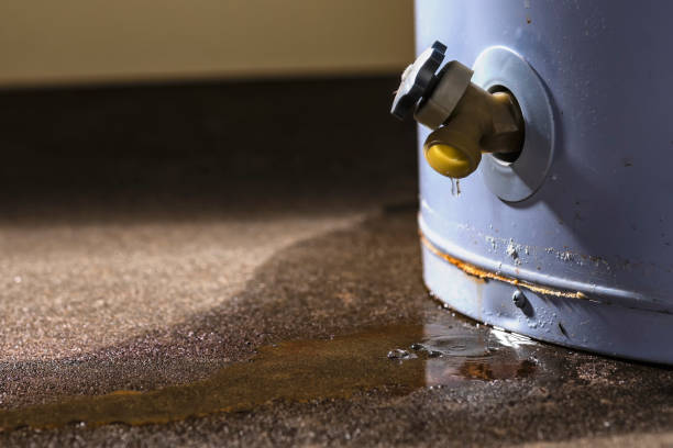 Best Water damage restoration process  in Carefree, AZ
