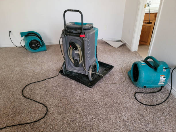Carpet water damage restoration in Carefree, AZ