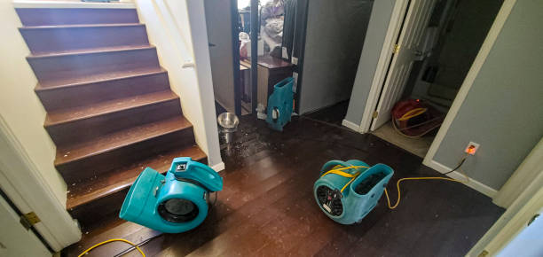 Water damage restoration process in Carefree, AZ
