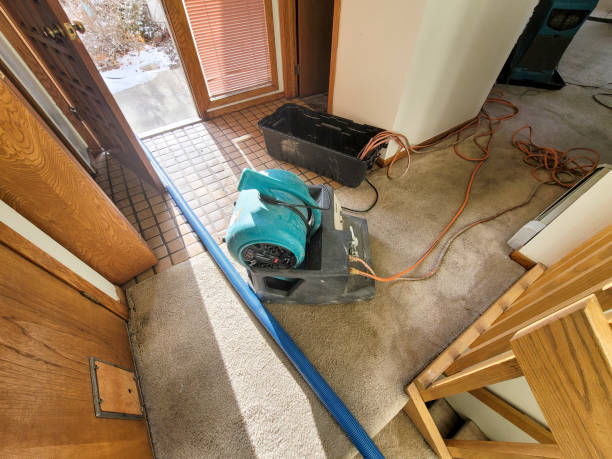 Best Carpet water damage restoration  in Carefree, AZ