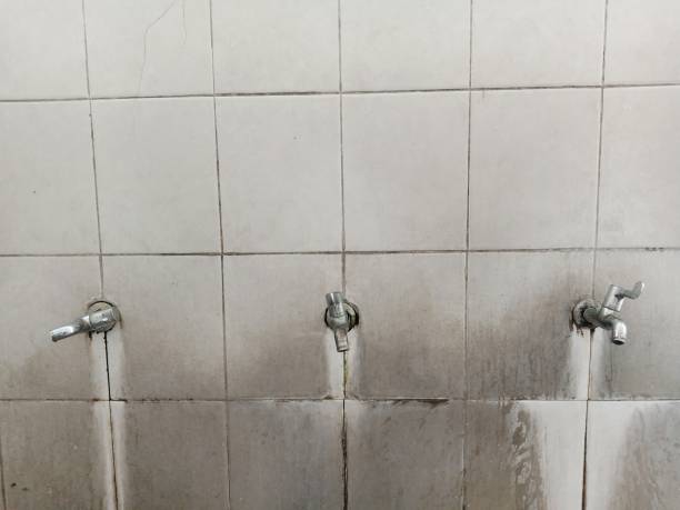 Best 24/7 water damage repair  in Carefree, AZ