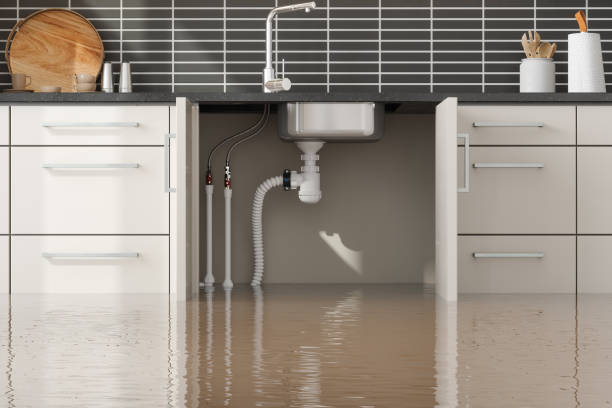 Best Residential water damage restoration  in Carefree, AZ