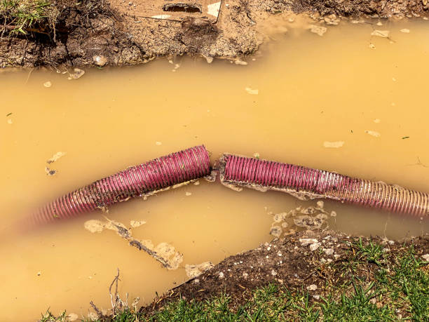  Carefree, AZ Water damage restoration Pros