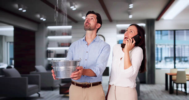 Best Professional water damage repair  in Carefree, AZ